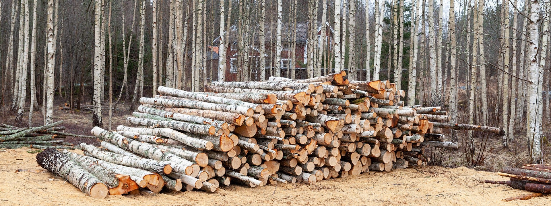 Du broliai Švedijoje sėkmingai vadovauja šeimos dailidžių dirbtuvėms